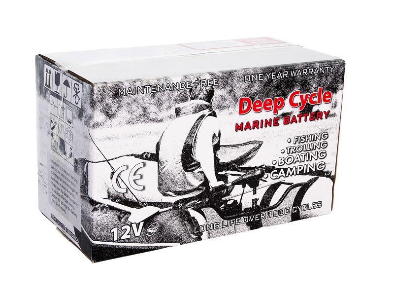 Тяговый аккумулятор Deep Cycle AGM 80Ah 12V