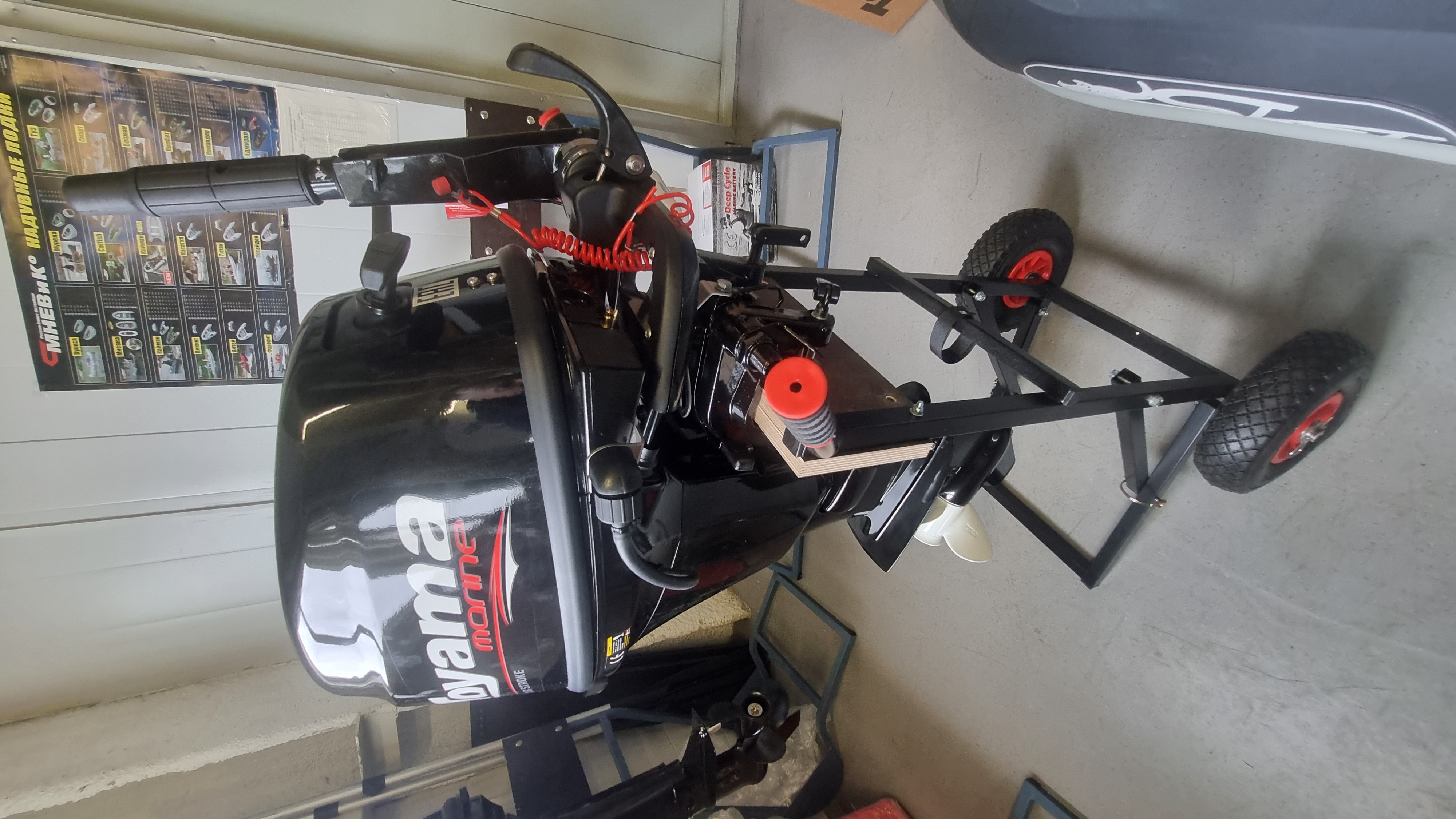 Лодочный мотор Toyama F9.9 BMS PRO