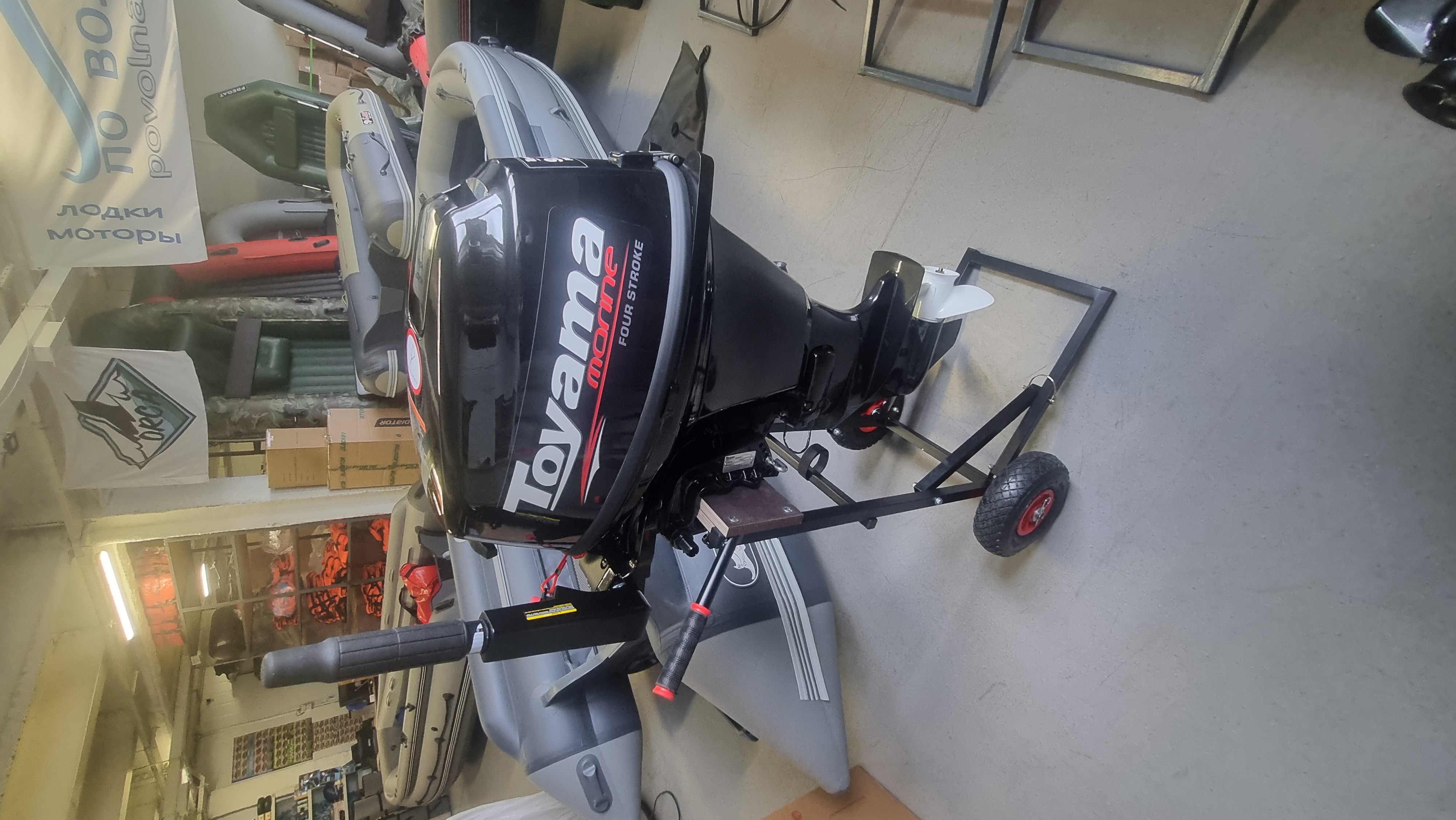 Лодочный мотор Toyama F9.9 BMS PRO