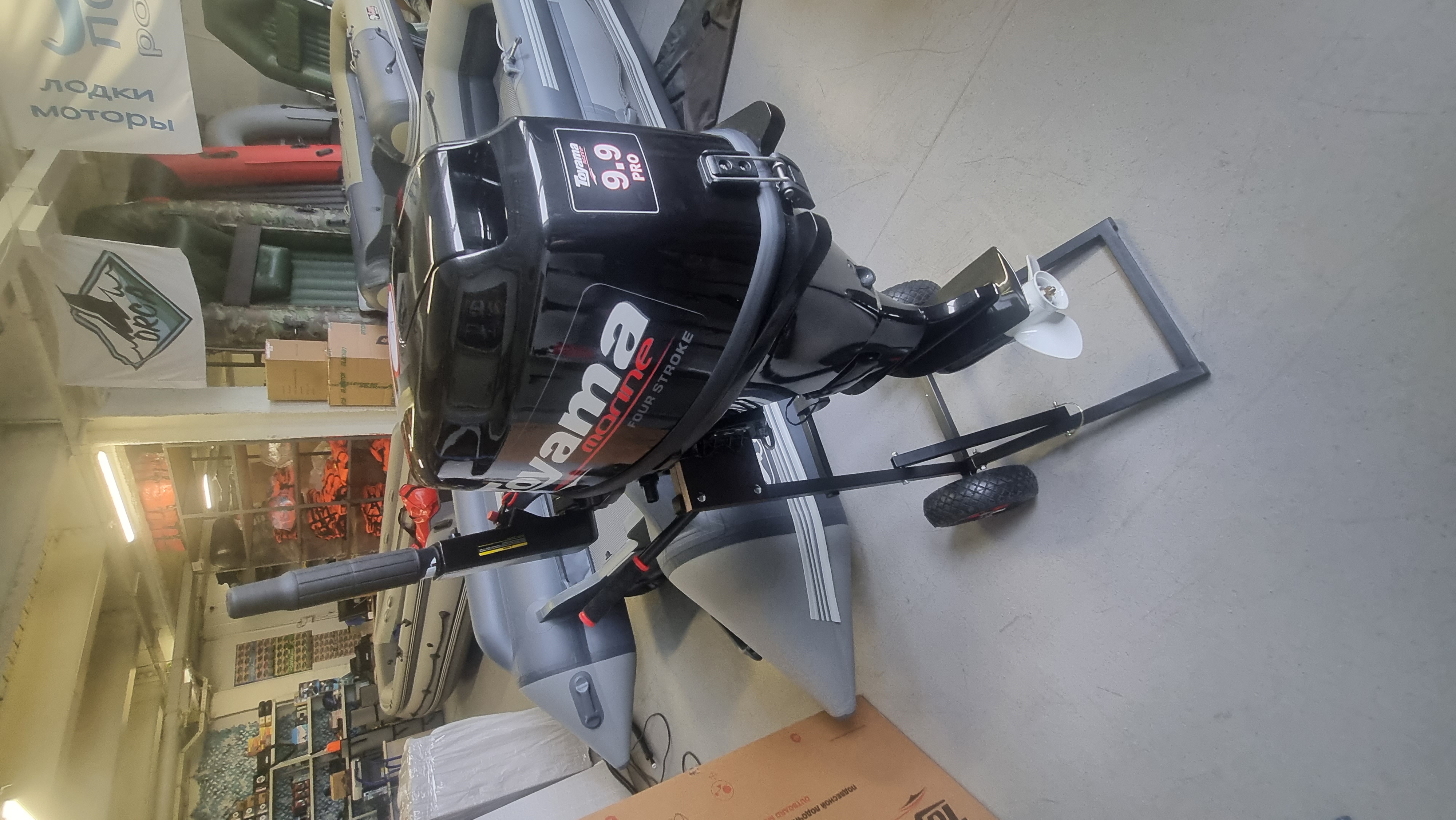 Лодочный мотор Toyama F9.9 BMS PRO